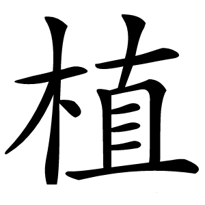 植字字形图片