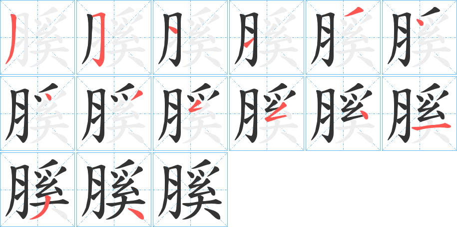 膎字笔顺步骤